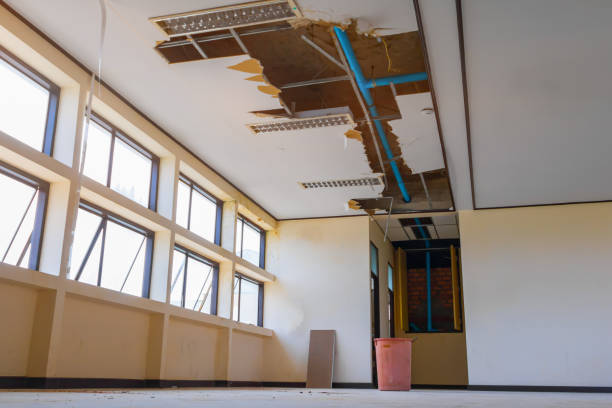 Best Sewage cleanup and water damage restoration  in Versailles, OH