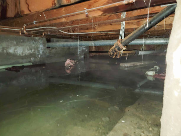 Professional Water damage restoration in Versailles, OH