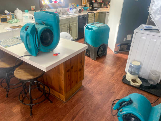 Best Local water damage restoration  in Versailles, OH
