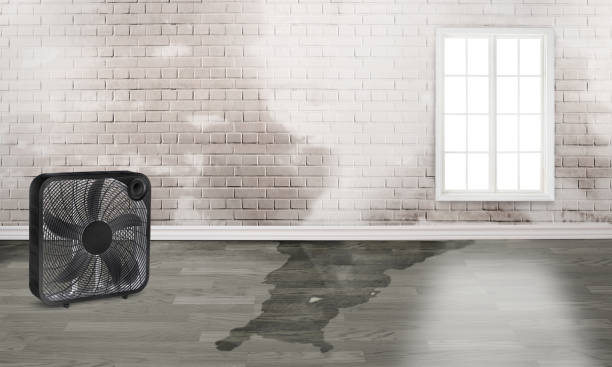 Best Commercial water damage restoration  in Versailles, OH