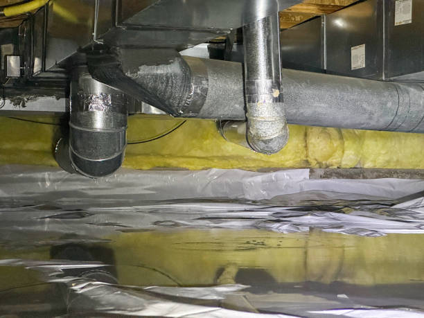 Best Water damage repair service  in Versailles, OH