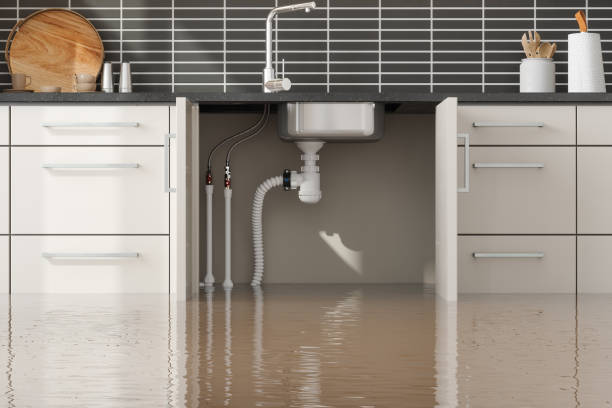 Best Basement water damage restoration  in Versailles, OH